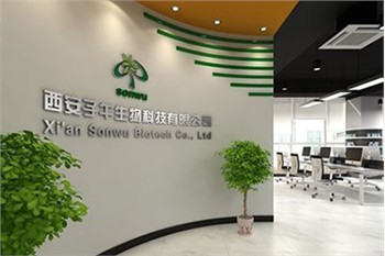 เว็บไซต์อาลีบาบาปรับปรุงชั่วคราว