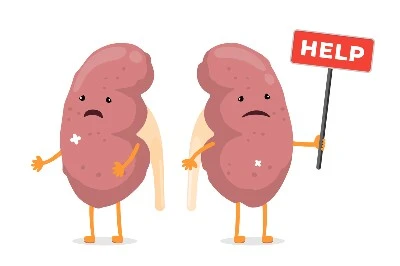 Kidney Damage Kidney Damage