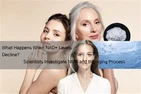 จะเกิดอะไรขึ้นเมื่อระดับ NAD+ ลดลง? นักวิทยาศาสตร์ตรวจสอบ NMN และกระบวนการชราภาพ
