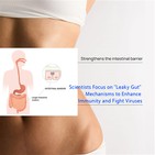 นักวิทยาศาสตร์มุ่งความสนใจไปที่กลไกลำไส้รั่วเพื่อเพิ่มภูมิคุ้มกันและต่อสู้กับ...