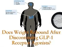 น้ำหนักจะเด้งกลับหลังจากหยุดตัวเร่งปฏิกิริยาตัวรับ GLP-1 ตัวหรือไม่